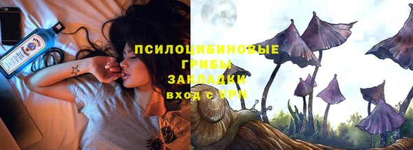 ГАЛЛЮЦИНОГЕННЫЕ ГРИБЫ Алексин