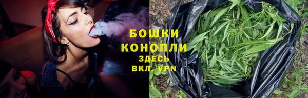 ГАЛЛЮЦИНОГЕННЫЕ ГРИБЫ Алексин