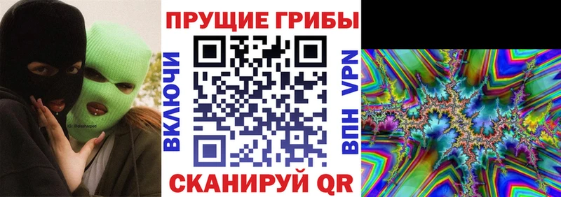наркошоп  Краснообск  Галлюциногенные грибы Cubensis 